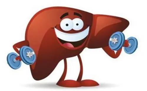 脂肪肝患者也需要适量脂肪