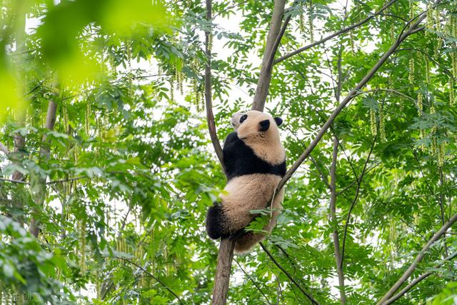 国家级风景名胜区名单