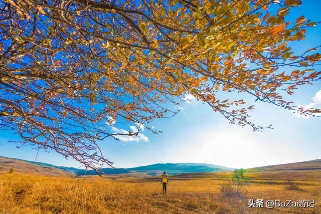 攀枝花旅游景点大全