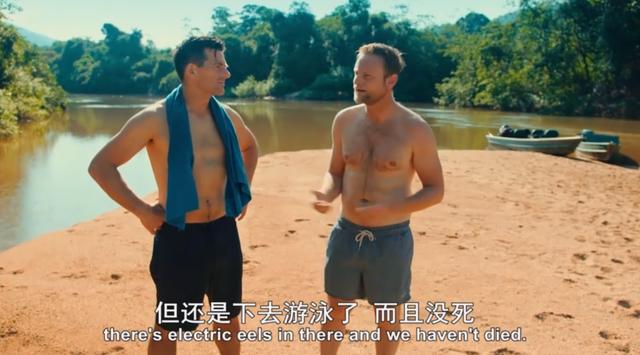 金属破碎机每日开机前必做检查比例失重调整