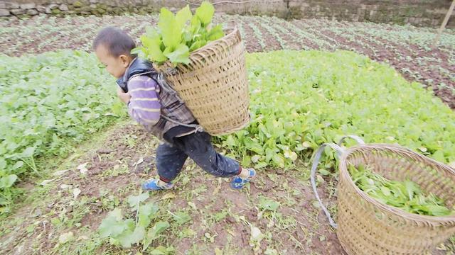 什么样算打骂教育？