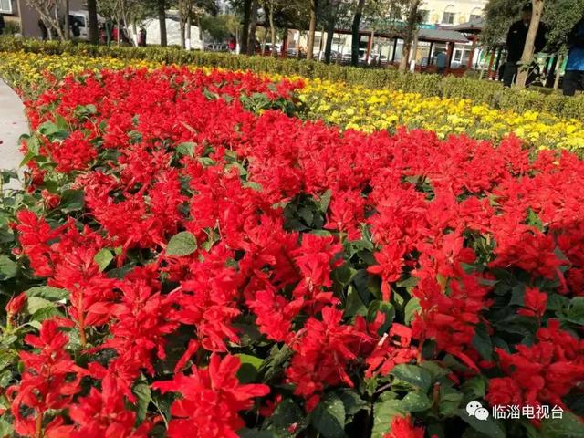 青州废水处理压滤机厂家