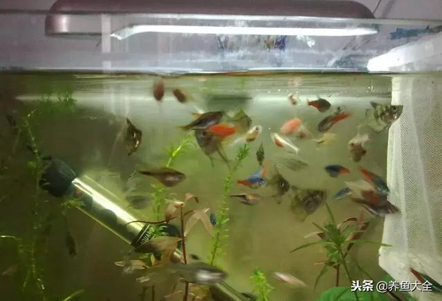 过滤机多久保养