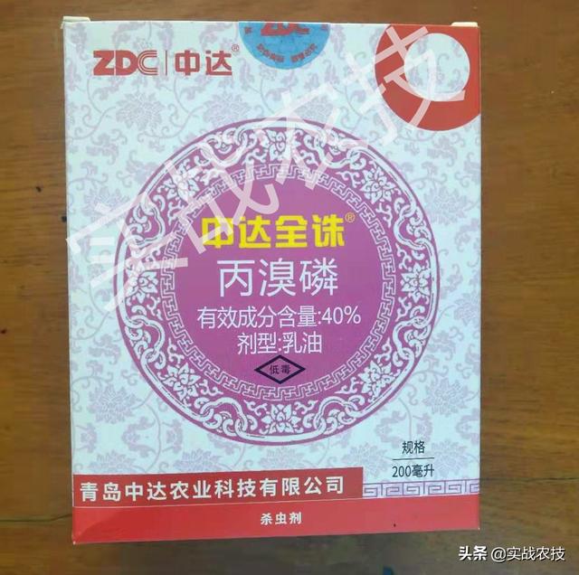 红蜘蛛不是昆虫你知道吗？抗性红蜘蛛特效药组合，持效期长达20天5