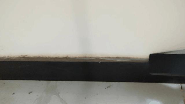 伊莱克斯吸尘器怎么样（伊莱克斯吸尘器评测）(13)
