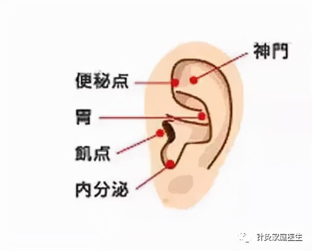 脸部大油田很糟心，按压两个穴位就可调节