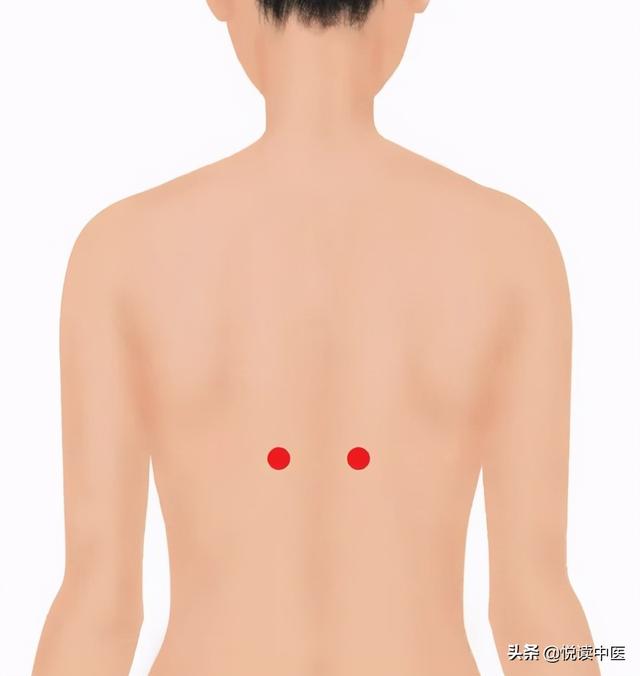 改善肝功能,治疗肝病的特效穴——肝俞穴