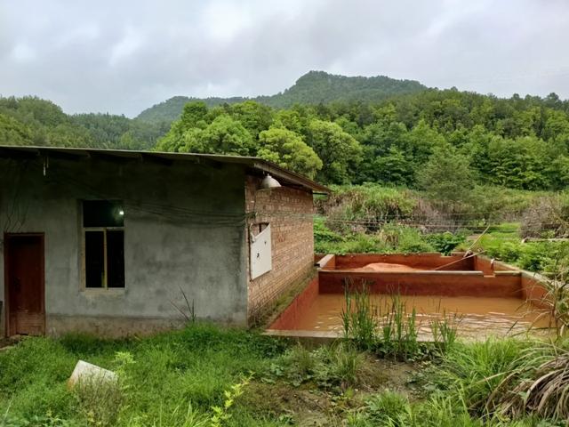 尾矿沙