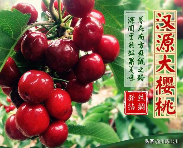 四川地标农品系列：谁才是中国大樱桃之乡，雅安汉源大樱桃