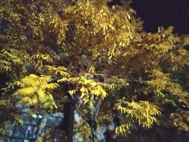 让智慧伴随孩子成长