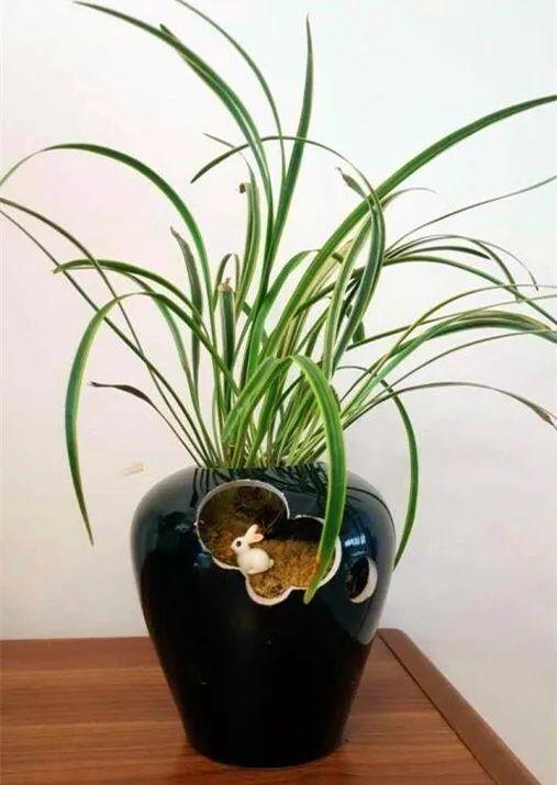 洗土豆机更换金刚砂