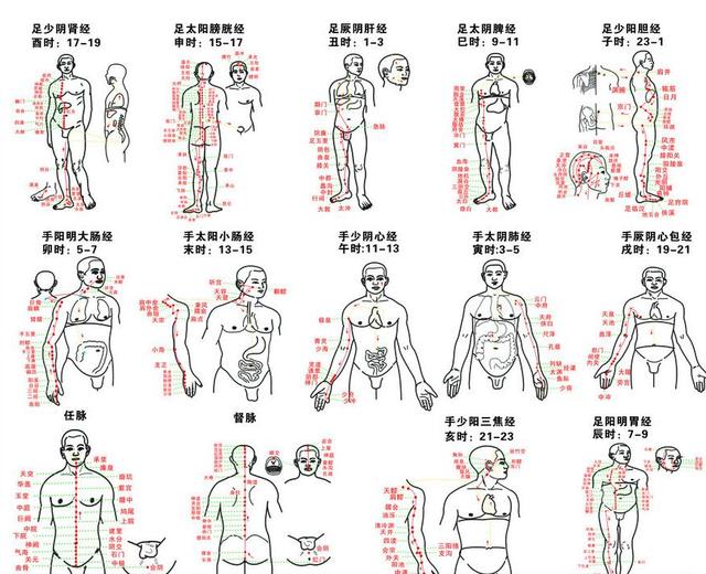 王医生分享：九个特效养生穴对应九种体质，每天按一按疾病少一点