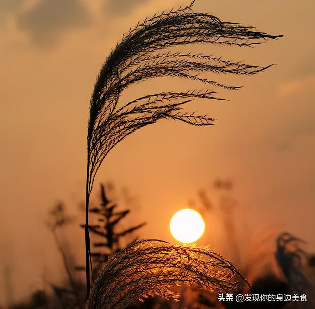 不赌天意，不猜人心，顺其自然，随遇而安