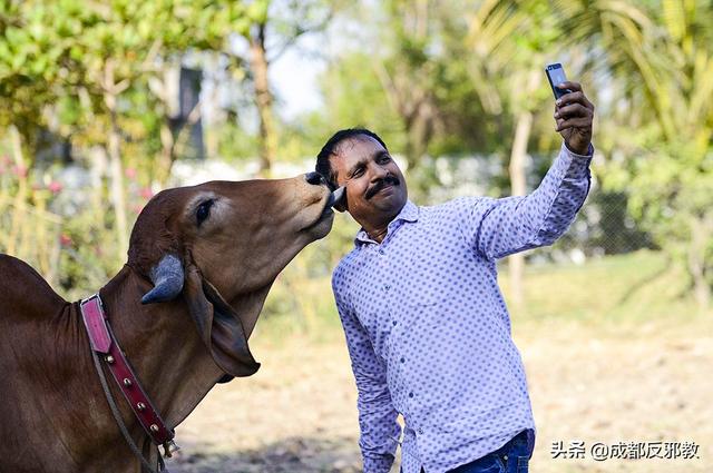 致命的拍摄：印度自拍死亡率全球第一