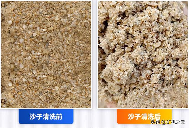 螺旋洗砂机叶片衬板