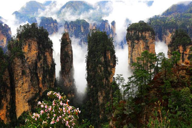 旅遊張家界景區_張家界精華景點全覽圖,超值遊玩景區推薦(僅供參考)