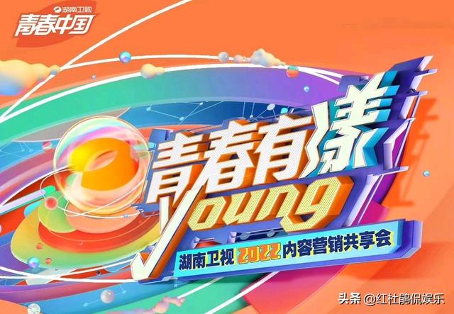 湖南卫视很火的综艺节目有哪些(湖南卫视最火的综艺节目前十名)