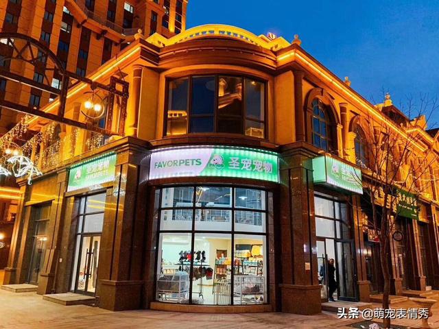 宠物店多久开始盈利（宠物店一年利润怎么样）(1)