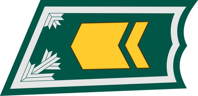 各国军衔标识:芬兰