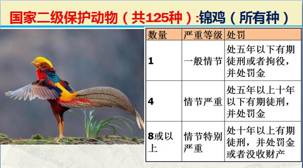 国家二级保护动物有哪些