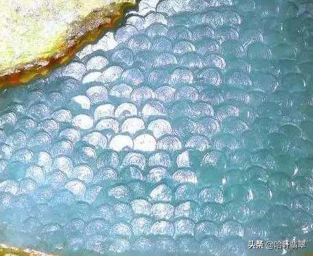 赌石鱼鳞窗