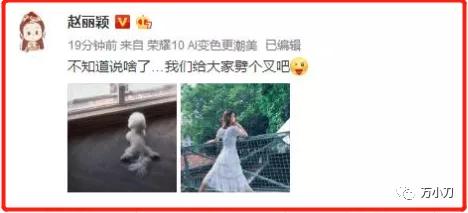 杨幂和冯绍峰上过床(冯绍峰与杨幂)