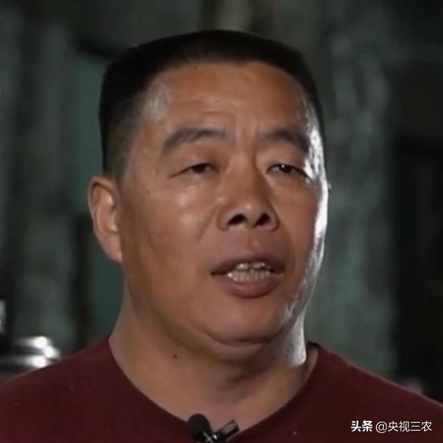 秸秆破碎机效果