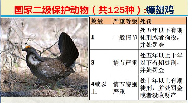 国家二级保护动物