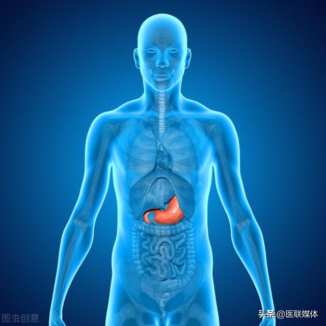 消化不好怎么办？这4种助消化的食物，或能帮助你