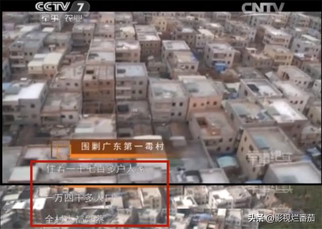 「今日通告」杨烁刘涛主演的电视剧全部_杨烁刘涛主演的电视剧全部免费