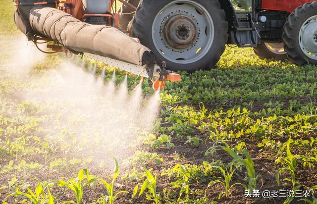 除草剂怎么用？什么时间用？记住这个简单办法，亩收1000斤不发愁9