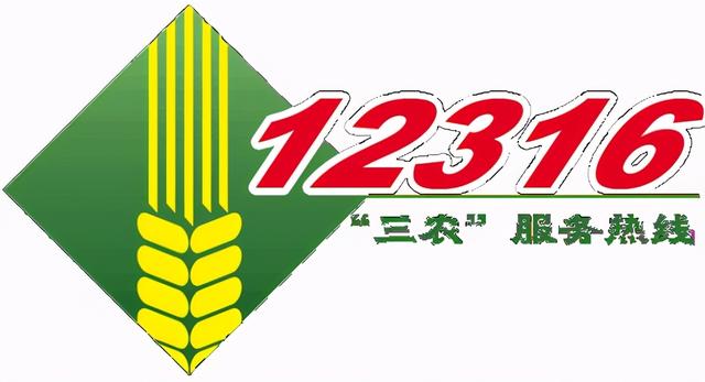 遇到法律问题，我应该拨打123XX的热线电话？| 公共法律服务指南