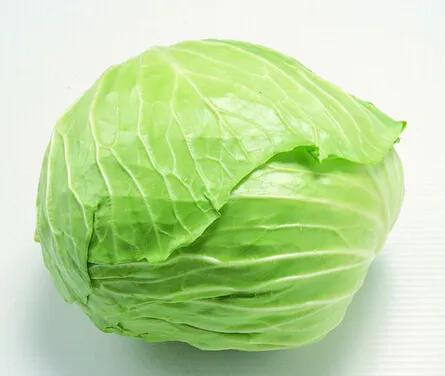 《每日优享生活》卷心菜的来源和功效