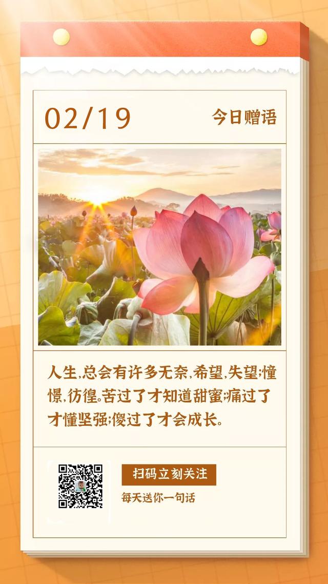2月19日早安图片日签正能量：多花时间努力，少点功夫矫情