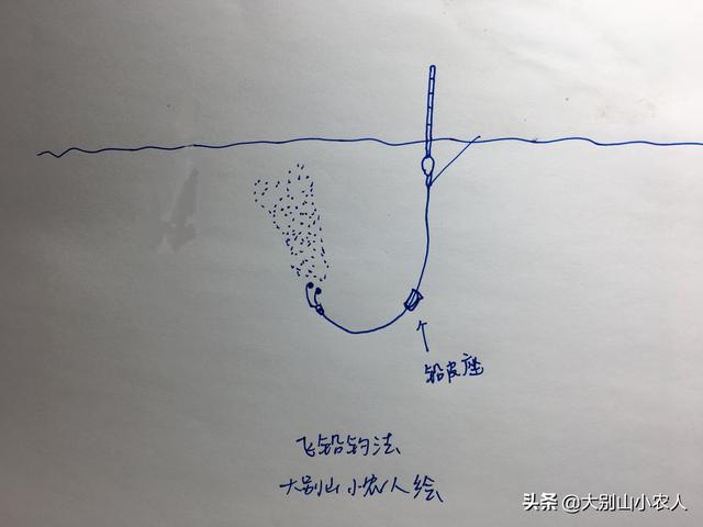 麦穗鱼