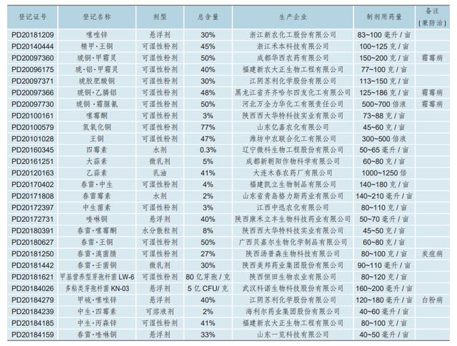 防治黄瓜细菌性角斑病，还用铜制剂？多粘类芽孢杆菌，以菌治菌3