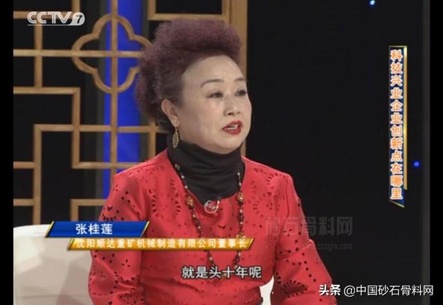 沈阳顺达重矿湿式制砂机