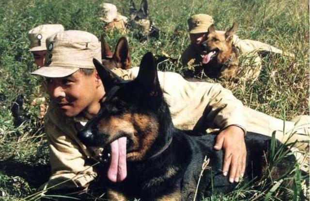 央视回应犬王冷血央视犬王电影