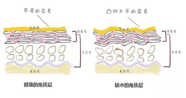 可以爆水珠的身体乳