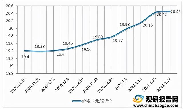 2021年中国家禽行业分析报告-行业竞争格局与发展商机研究