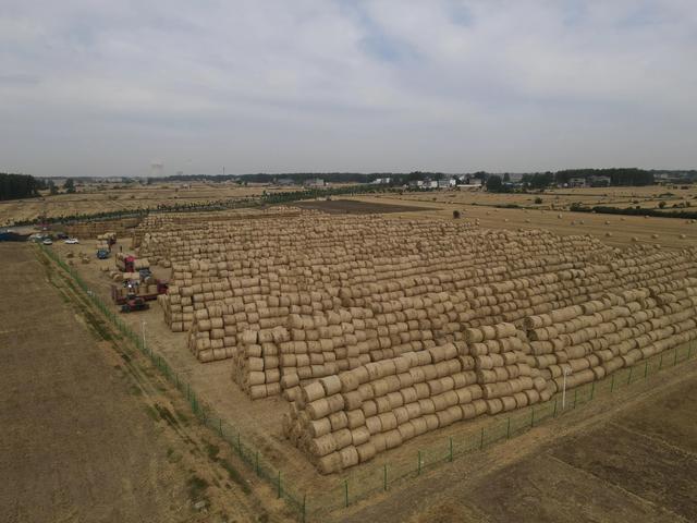 利辛县展沟镇在建工程