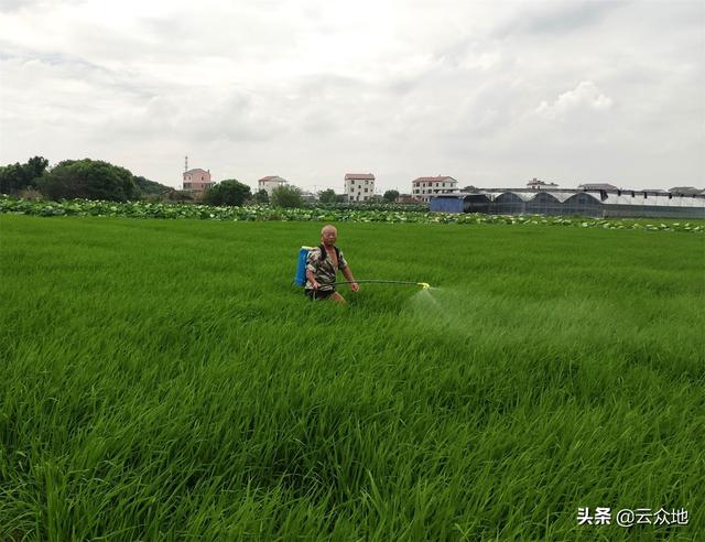 农药稀释倍数怎么计算？一亩地打几桶水合适？别愁，这里有答案