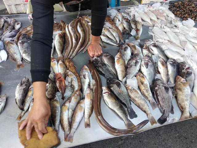 海鱼种类名称图片大全,海鱼种类名称图片大全 食用