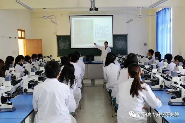 郑州澍青医学高等专科学校