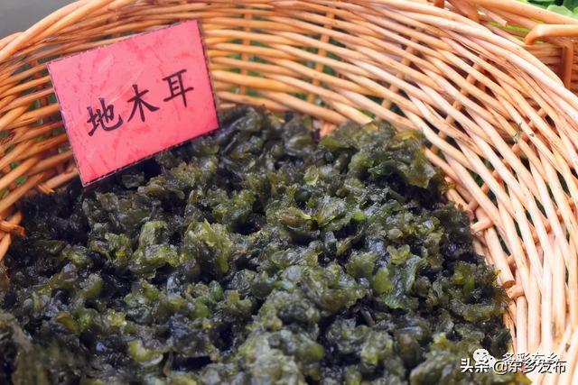 抚州东乡特产(东乡特产之山珍地耳)(6)