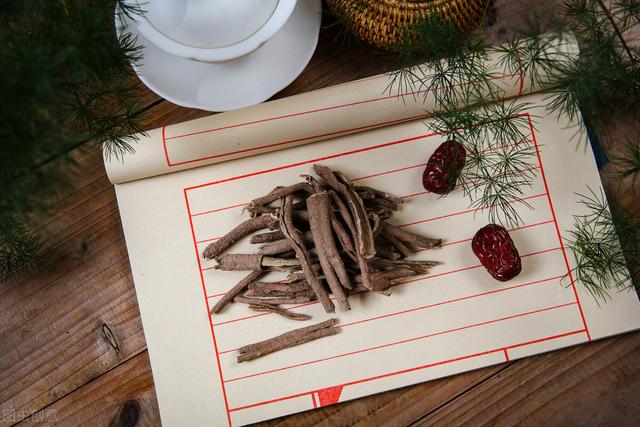 刺五加——一味可补脾、肺、肾、心的药食同源中药，不来了解下吗