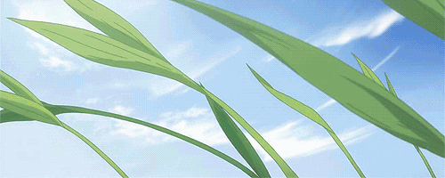 蓝绿藻过滤机