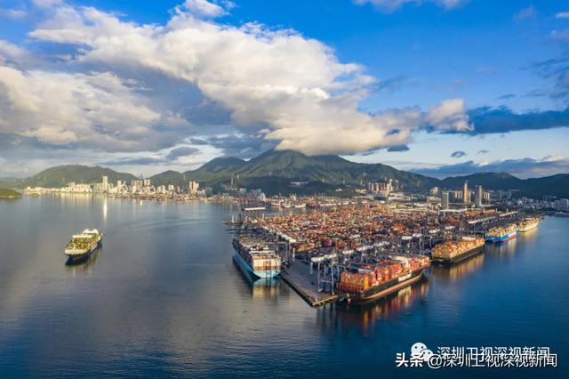 重磅巨客造访深圳的背后，我们看到了三层内涵丨深政一周