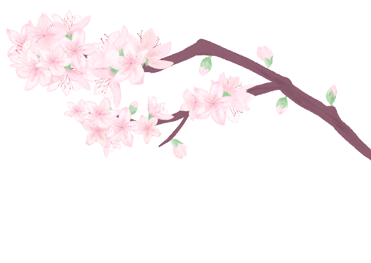 ĴաƬú | 롰ʹ ĴӰƷн