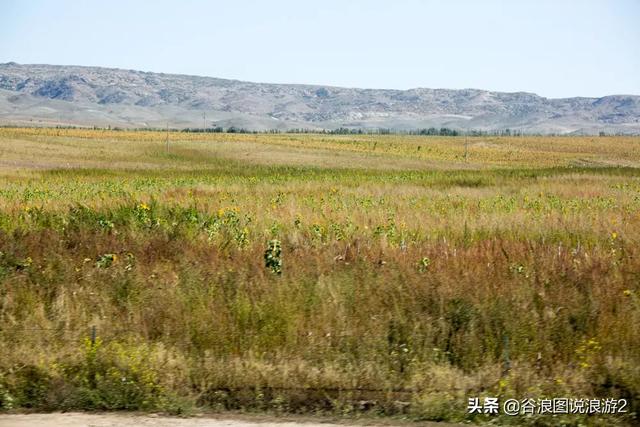 油擦 油擦（颈椎病用精油擦） 生活